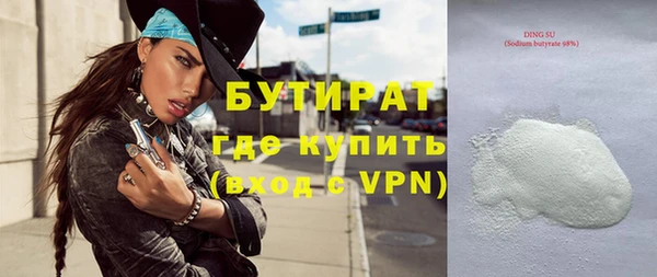 сатива Дмитриев