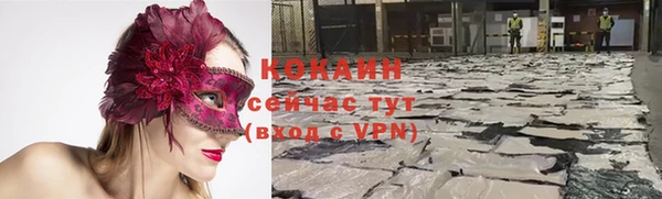 СК Дмитров