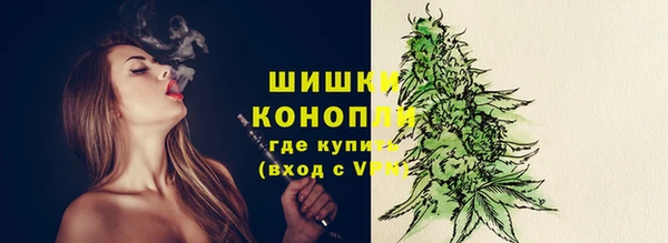сатива Дмитриев