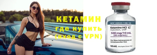 сатива Дмитриев