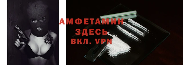 сатива Дмитриев