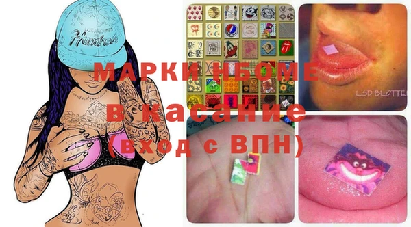 прущие грибы Тайга