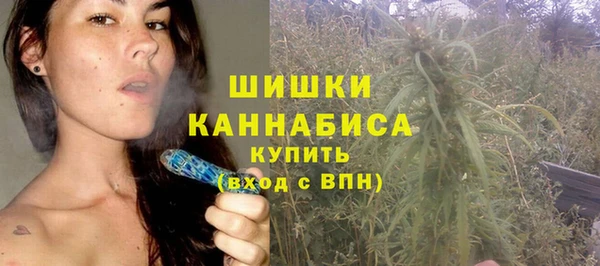 СК Дмитров