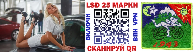 купить наркотики сайты  блэк спрут tor  Марки NBOMe 1,5мг  Владимир 